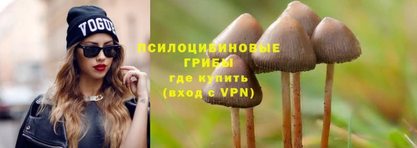 крисы Медногорск